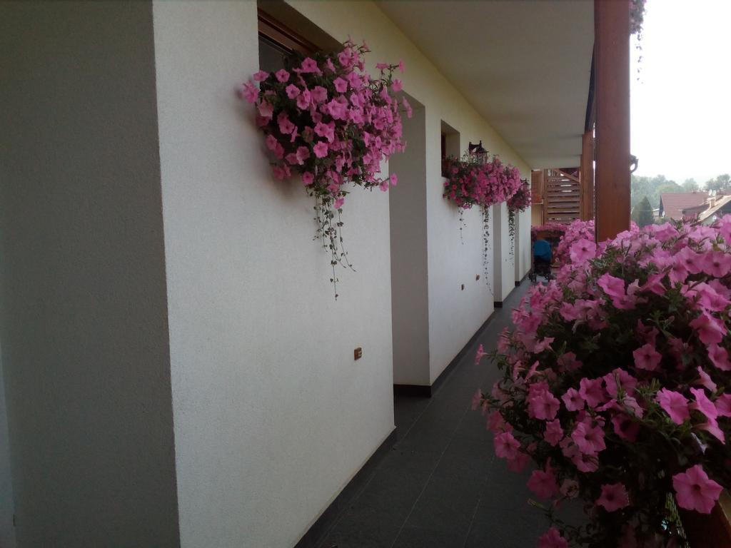 Ski & Sun Wellness Apartments Liptovský Mikuláš Exteriör bild